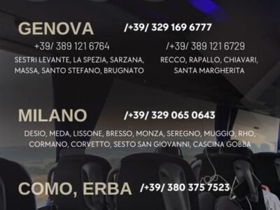 Transportăm colete şi pasageri Italia - Moldova