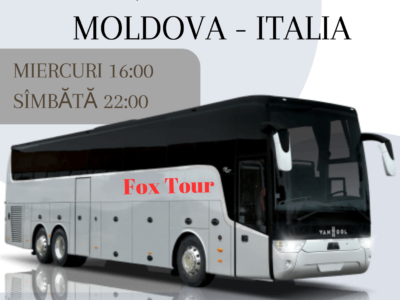 Fox Tour