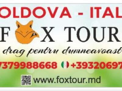 Fox Tour