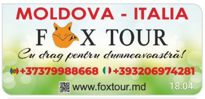 Fox Tour
