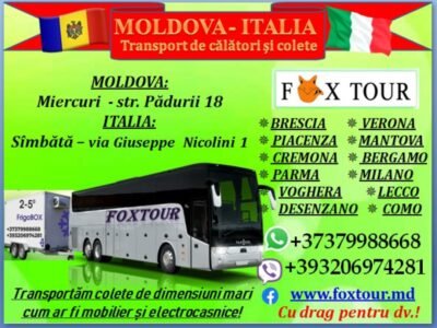 Fox Tour