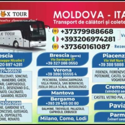Fox Tour