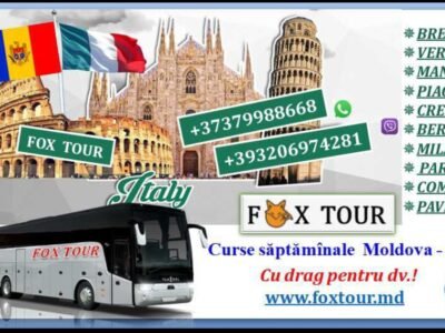 Fox Tour