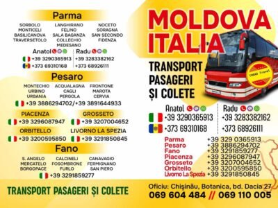 ToRad Travel. Transport colete, pasageri. Frigider